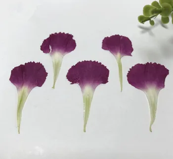 120pcs Presate Uscat Garoafe cu Petale de Flori Pentru Rășină Epoxidică a Face Bijuterii de Unghii de Arta Artizanat DIY Accesorii